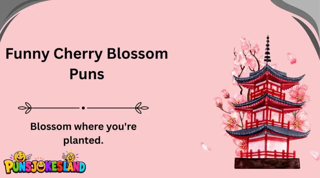 Funny Cherry Blossom Puns