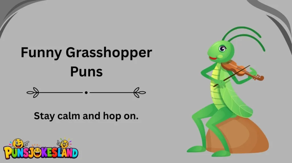 Funny Grasshopper Puns