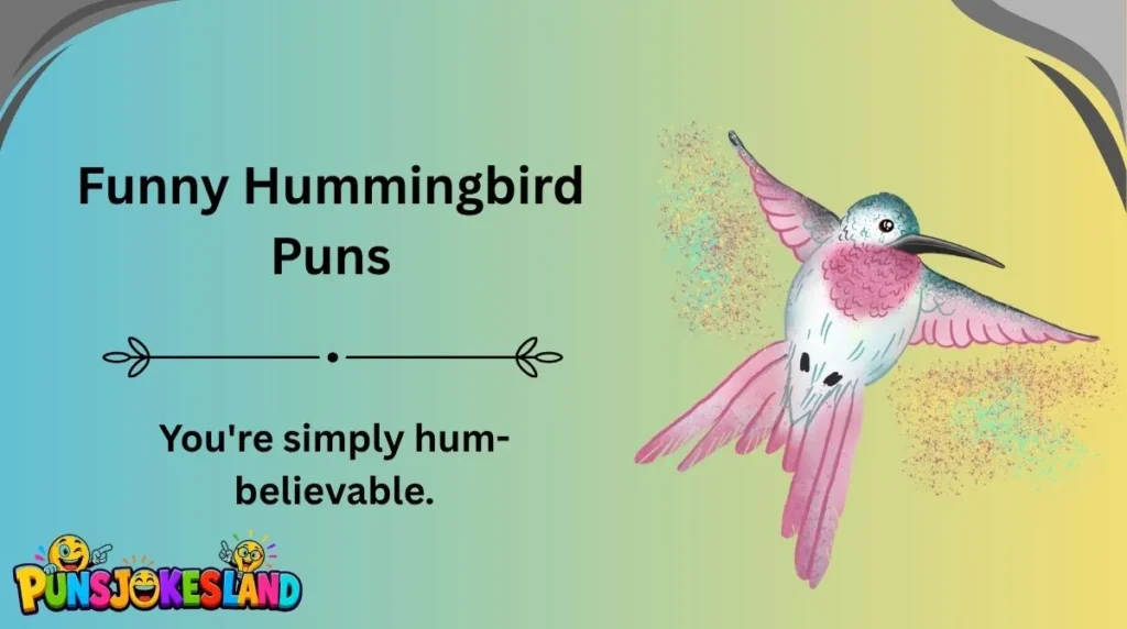 Funny Hummingbird Puns