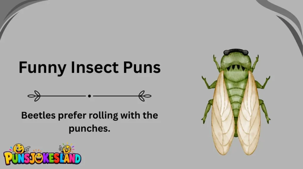 Funny Insect Puns