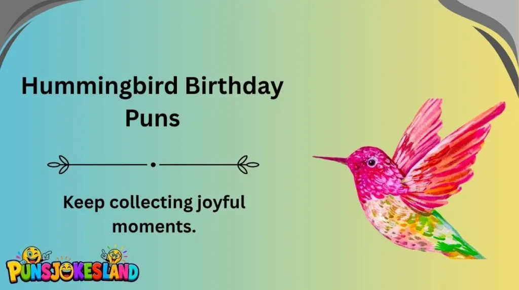 Hummingbird Birthday Puns