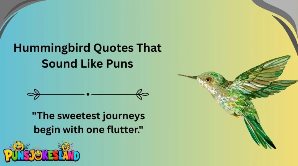 Hummingbird Quotes That Sound Like Puns