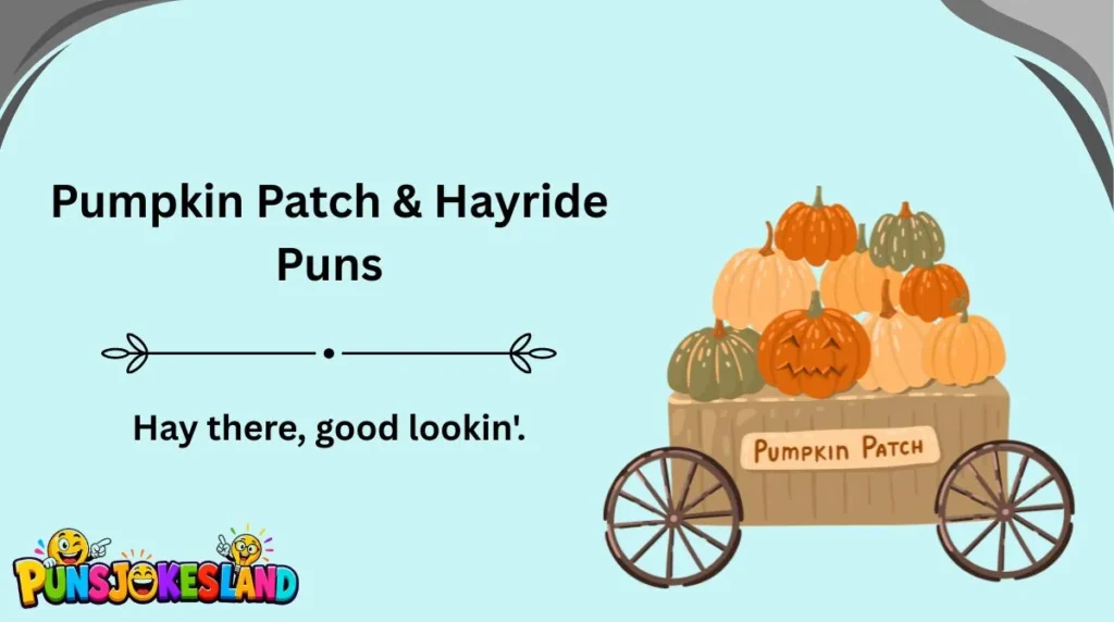 Pumpkin Patch & Hayride Puns