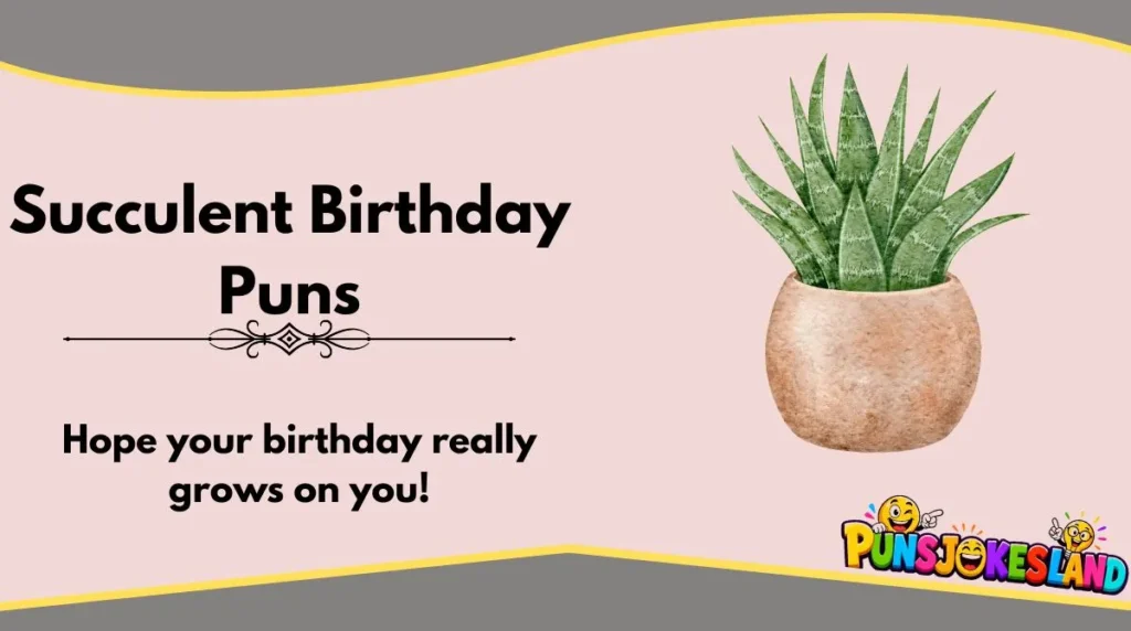Succulent Birthday Puns