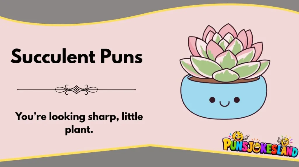 Succulent Puns