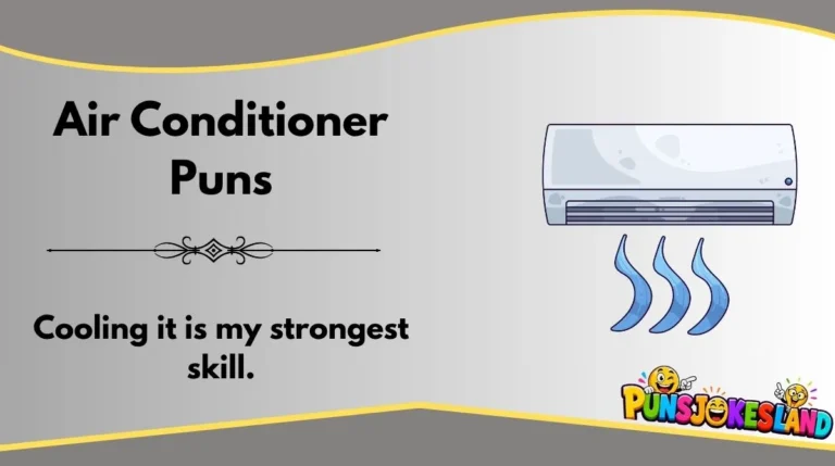 Air Conditioner Puns