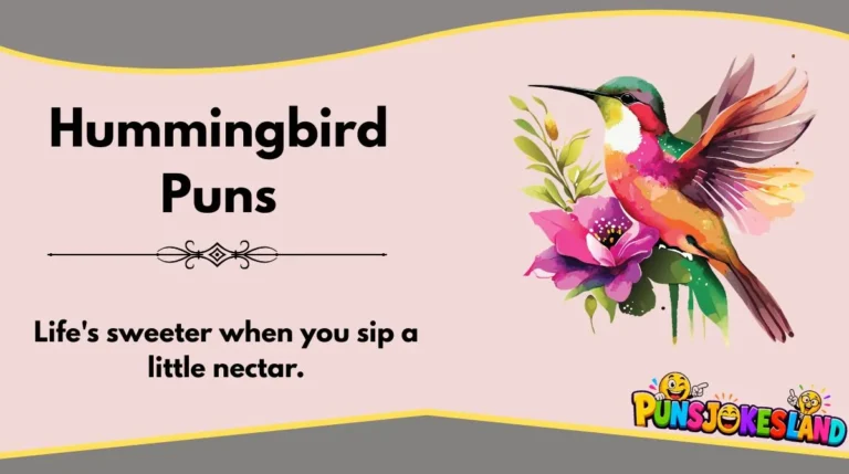 Hummingbird Puns