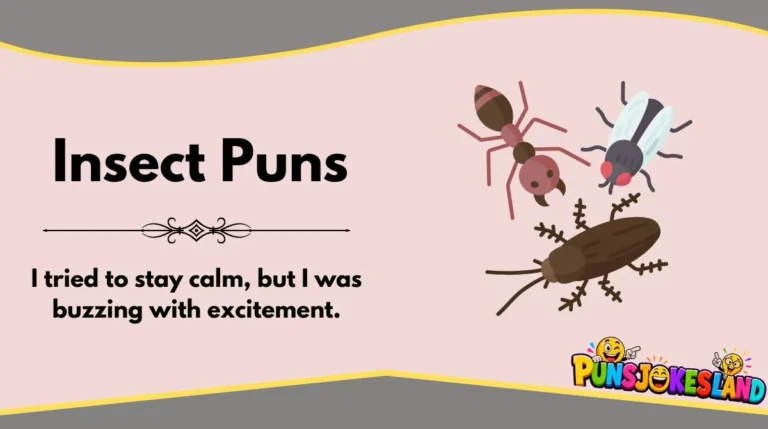Insect Puns