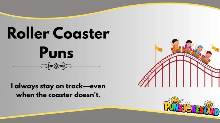 Roller Coaster Puns