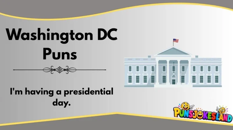 Washington DC Puns